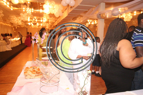 Mr.  Dominic and Mrs. Yakima Patterson  Wedding on  June 4, 2016 (644)