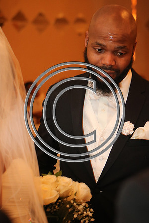 Mr.  Dominic and Mrs. Yakima Patterson  Wedding on  June 4, 2016 (532)