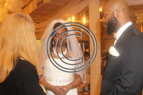 Mr.  Dominic and Mrs. Yakima Patterson  Wedding on  June 4, 2016 (336)