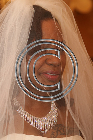 Mr.  Dominic and Mrs. Yakima Patterson  Wedding on  June 4, 2016 (535)