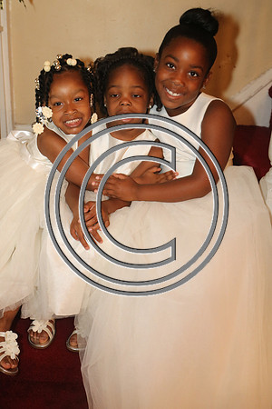 Mr.  Dominic and Mrs. Yakima Patterson  Wedding on  June 4, 2016 (30)