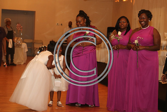 Mr.  Dominic and Mrs. Yakima Patterson  Wedding on  June 4, 2016 (443)