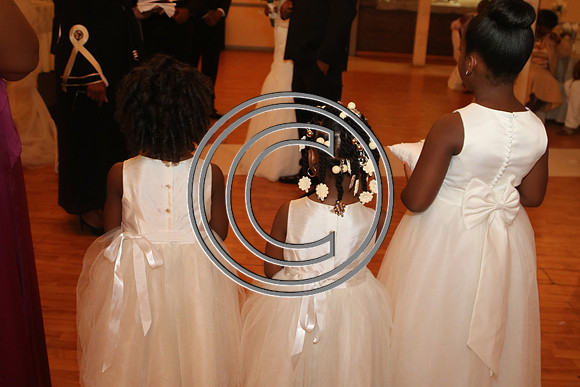 Mr.  Dominic and Mrs. Yakima Patterson  Wedding on  June 4, 2016 (483)