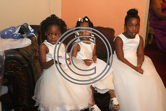 Mr.  Dominic and Mrs. Yakima Patterson  Wedding on  June 4, 2016 (66)