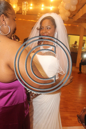 Mr.  Dominic and Mrs. Yakima Patterson  Wedding on  June 4, 2016 (330)