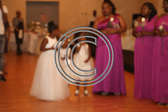 Mr.  Dominic and Mrs. Yakima Patterson  Wedding on  June 4, 2016 (442)