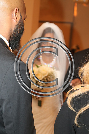 Mr.  Dominic and Mrs. Yakima Patterson  Wedding on  June 4, 2016 (486)
