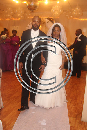 Mr.  Dominic and Mrs. Yakima Patterson  Wedding on  June 4, 2016 (355)
