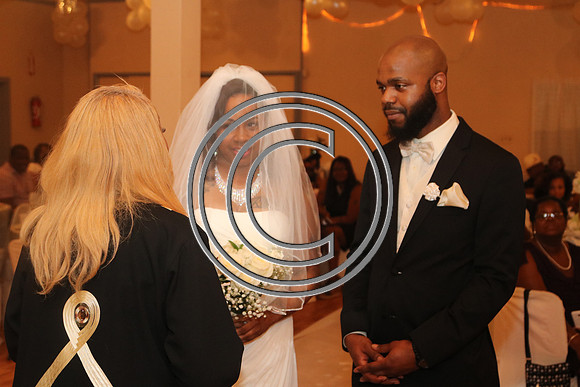 Mr.  Dominic and Mrs. Yakima Patterson  Wedding on  June 4, 2016 (499)
