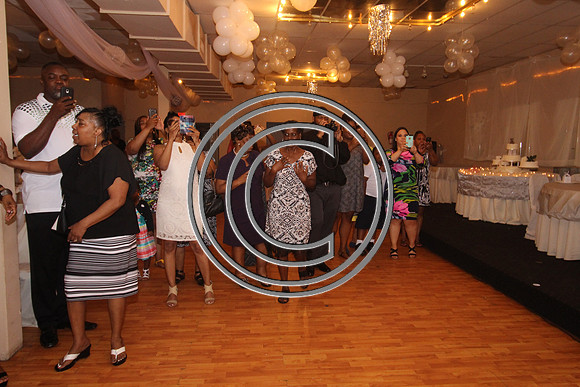 Mr.  Dominic and Mrs. Yakima Patterson  Wedding on  June 4, 2016 (547)