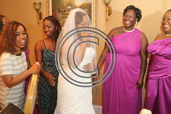 Mr.  Dominic and Mrs. Yakima Patterson  Wedding on  June 4, 2016 (220)