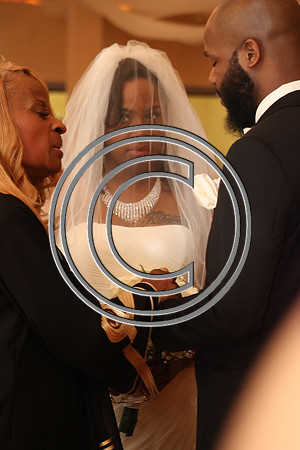 Mr.  Dominic and Mrs. Yakima Patterson  Wedding on  June 4, 2016 (531)