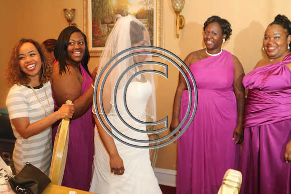 Mr.  Dominic and Mrs. Yakima Patterson  Wedding on  June 4, 2016 (222)