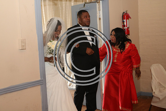 Mr.  Dominic and Mrs. Yakima Patterson  Wedding on  June 4, 2016 (446)