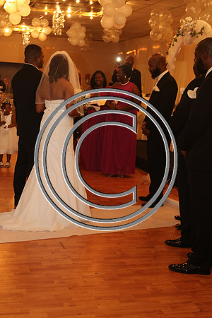 Mr.  Dominic and Mrs. Yakima Patterson  Wedding on  June 4, 2016 (493)