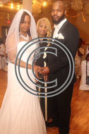 Mr.  Dominic and Mrs. Yakima Patterson  Wedding on  June 4, 2016 (351)
