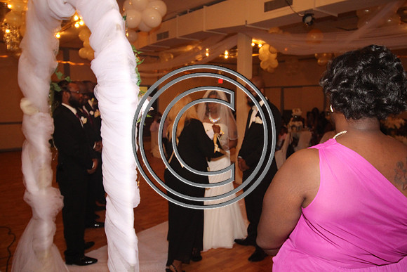 Mr.  Dominic and Mrs. Yakima Patterson  Wedding on  June 4, 2016 (284)