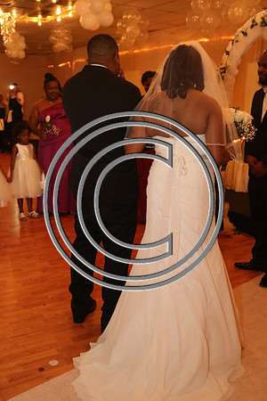 Mr.  Dominic and Mrs. Yakima Patterson  Wedding on  June 4, 2016 (477)