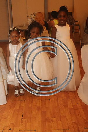 Mr.  Dominic and Mrs. Yakima Patterson  Wedding on  June 4, 2016 (699)
