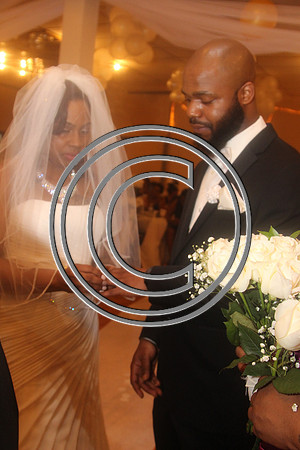 Mr.  Dominic and Mrs. Yakima Patterson  Wedding on  June 4, 2016 (317)