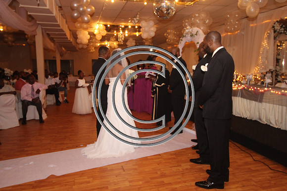 Mr.  Dominic and Mrs. Yakima Patterson  Wedding on  June 4, 2016 (249)