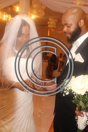 Mr.  Dominic and Mrs. Yakima Patterson  Wedding on  June 4, 2016 (323)