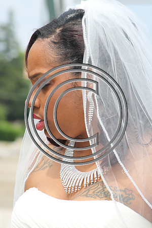 Mr.  Dominic and Mrs. Yakima Patterson  Wedding on  June 4, 2016 (275)
