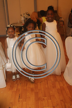 Mr.  Dominic and Mrs. Yakima Patterson  Wedding on  June 4, 2016 (698)