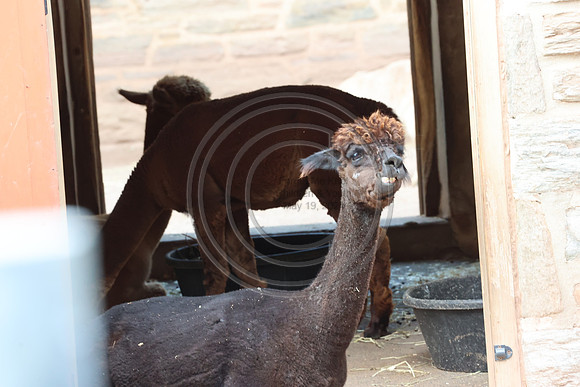 KTIN9365. Philadelphia Zoo 08112024 ktiplaura@gmail.com