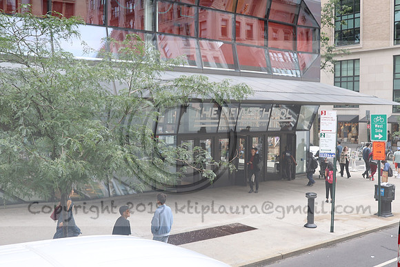 3I7A2338   New York August 2023  Laura Elam take time out