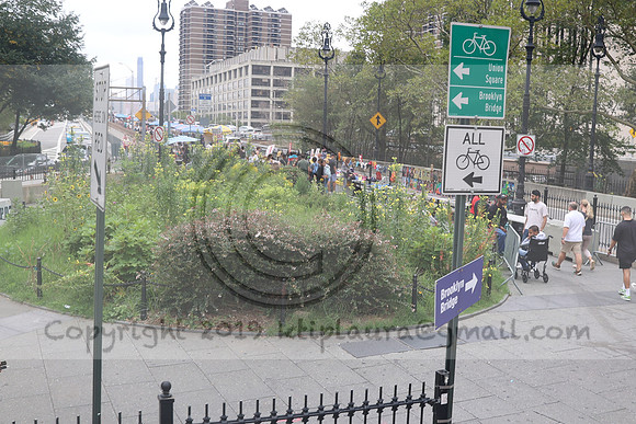 3I7A2441   New York August 2023  Laura Elam take time out