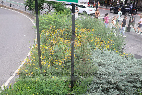 3I7A2453   New York August 2023  Laura Elam take time out