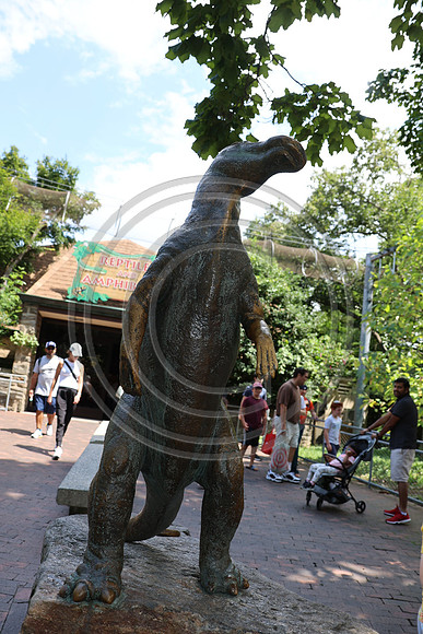 KTIN9396. Philadelphia Zoo 08112024 ktiplaura@gmail.com