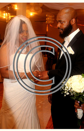 Mr.  Dominic and Mrs. Yakima Patterson  Wedding on  June 4 2016 (321)