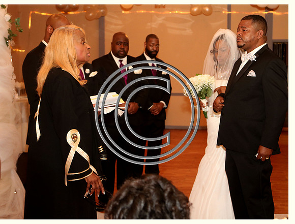 Mr.  Dominic and Mrs. Yakima Patterson  Wedding on  June 4 2016 (482)