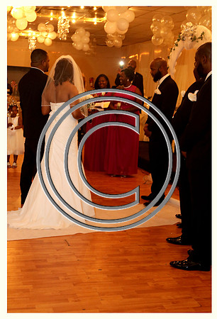 Mr.  Dominic and Mrs. Yakima Patterson  Wedding on  June 4 2016 (493)