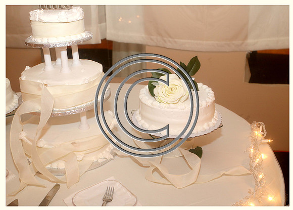 Mr.  Dominic and Mrs. Yakima Patterson  Wedding on  June 4 2016 (760)