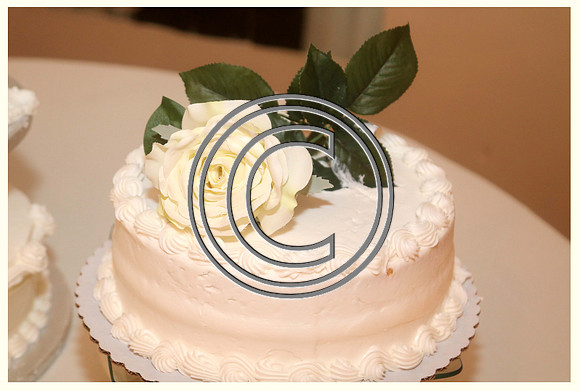 Mr.  Dominic and Mrs. Yakima Patterson  Wedding on  June 4 2016 (762)