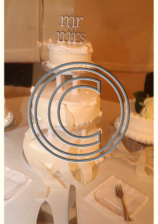 Mr.  Dominic and Mrs. Yakima Patterson  Wedding on  June 4 2016 (763)