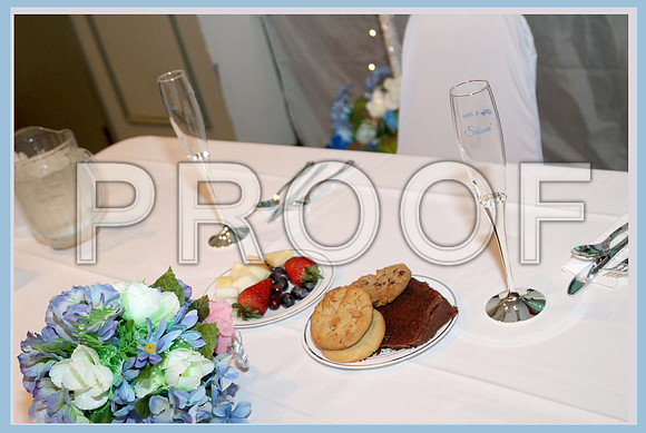 IMG_0522Williams Wedding CAM 2 05042017