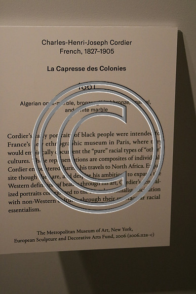IMG_0076.2018 MET DAY  3  New York Tour Lelam KTIP