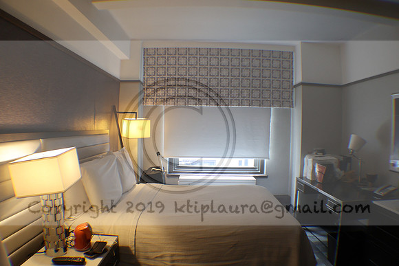 LEEL6951    New York Oct  15-16 2023 , ktiplaura@gmail.com