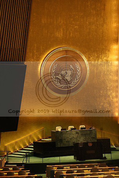 LEEL7299    New York Oct  15-16 2023 , ktiplaura@gmail.com