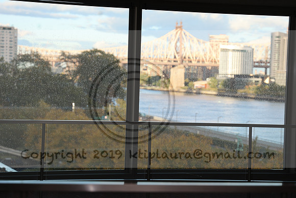 LEEL7250    New York Oct  15-16 2023 , ktiplaura@gmail.com