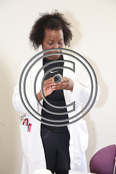 FUN90041 FUNTIMES 032925 WOMEN KNOW YOUR NUMBERS HEALTH & WELLNESS KTIPLAURA
