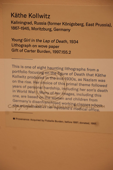 LEEL0348.     Brooklyn Museum New York Nov 3, 2023   Laura Elam Ktiplaura@GMAIL.COM