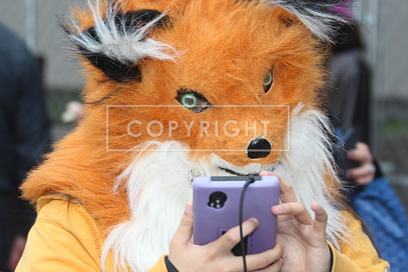 IMG_3818.Mummers Parade 2018 JAN 1 KTIPlaura