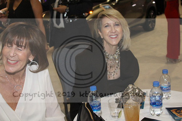 IMG_6896.AUTO SHOW PHILADELPHIA 2019   KTIPlaura