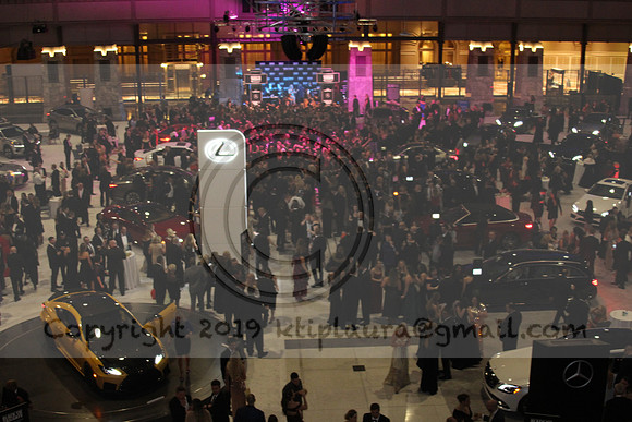 IMG_7022.AUTO SHOW PHILADELPHIA 2019   KTIPlaura