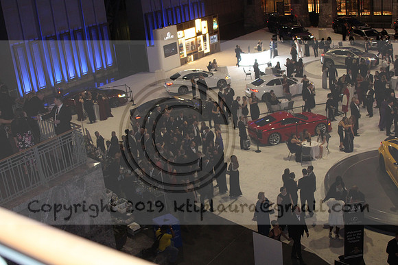 IMG_7024.AUTO SHOW PHILADELPHIA 2019   KTIPlaura